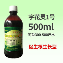 促花保果控梢旺素沙砂糖桔柑橘荔枝龙眼芒果树催膨大专用药叶面肥 1号500ml