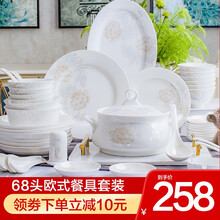 乐享 餐具套装 碗碟套装景德镇陶瓷68头碗筷套装微波炉适用 68头清雅名媛（破损包赔）