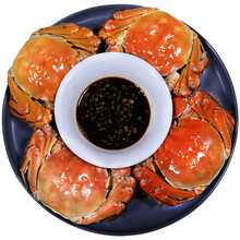 【活蟹】苏蟹之王 大闸蟹六月黄公2.5-2.8两/母1.5-1.8两4对鲜活现货实物 螃蟹礼盒 海鲜水产
