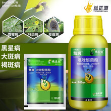 戈击 巴斯夫凯润吡唑醚菌酯250克/升大斑病白粉病芒果树白菜炭疽病香蕉黑星病进口农药杀菌剂农资店 100ml