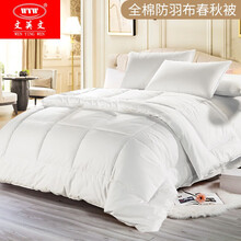 文英文  加厚保暖纯棉涤棉舒适透气四季被子被芯冬被空调夏凉被太空被褥酒店宾馆宿舍学生单人双人春秋被 （四季被）纯棉防羽布被芯 160*220cm(推荐1.2*2.0m床)