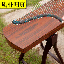 弘祥古筝初学者入门成人儿童桐木实木考级演奏乐器附全套配件 质朴归真(全配)