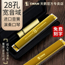 德国进口音簧口琴28孔高级成人专业演奏级天鹅复音重音口琴初学者入门高端教学乐器免费刻字 金色复音C调（专业演奏级）+全套学习礼包