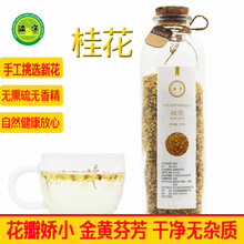 滋宁 桂花茶花草茶无硫食用新鲜新花茶女茶叶金桂花泡水50克/罐