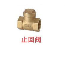 甄樽 蒸汽发生器燃气商用蒸汽机蒸汽锅炉豆腐煮浆机酿酒蒸馒头机天然气节能锅炉 止回阀