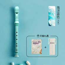 天鹅德式竖笛儿童小学生入门初学练习 【6孔竖笛蓝色+收纳袋+指法说明+清洁棒】