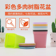 加厚树脂方形小号多肉花盆 仙人球绿植专用种植盆室内阳台办公室桌面盆栽肉肉植物育苗盆 白色-口径7cm