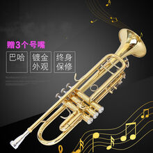 镀银巴哈小号降B调小号 LT197GS-98专业演奏级小号乐器 演奏级加固全黄色小号