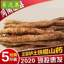 正宗河南焦作温县垆土铁棍怀山药整箱5斤 新鲜生铁杆淮山约片棒武陟铁棍山药