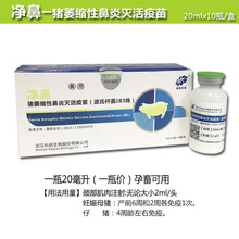 猪疫苗伪狂犬链球菌大肠杆菌传胸乙脑细小支原体圆环口蹄蓝耳 科前鼻炎一瓶价21年1月21到期