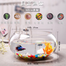 鱼缸透明玻璃办公桌创意水培圆形圆球圆型小型乌龟迷你桌面小鱼缸 40鼓缸(彩石6件套)