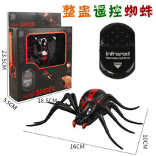 遥控器仿真昆虫遥控毛毛虫玩具电动会走虫子仿真大蜘蛛蛇眼镜蛇爬行昆虫抖音网红 仿真遥控蜘蛛(充电款) 收藏送电池 均码