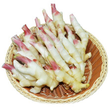 侯物 红芽嫩姜 新鲜生姜仔姜 山东大姜可腌制醋泡姜 5斤装