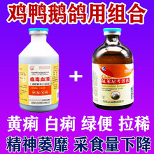 鸡药大全禽药鸡拉白黄痢绿便鸭鹅鸽鸡瘟药鸡吃的药鸡药鸡用小鸡开口药 1套价 10套价【发11套】