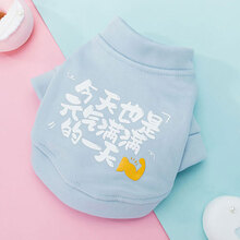 可爱猫咪衣服小猫猫英短蓝猫夏季薄款无毛夏天防掉毛宠物春秋冬装 初秋尝鲜#元气满满卫衣 L(建议体重8-11斤)