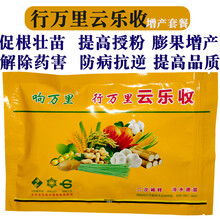行万里云乐收小麦水稻玉米花生蔬菜瓜果土豆增产套餐叶面肥调节剂 行万里云乐收50袋
