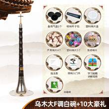 唢呐乐器全套 精制唢呐 初学者乌木唢呐 成人大小号唢呐 乌木大F调白碗+10大豪礼