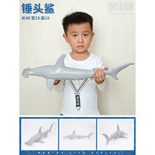鲨鱼玩具宝宝超大号软胶仿真海洋生物模型儿童玩具大白鲨鲨鱼海龟海豚 锤头鲨【软胶】