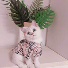 猫咪衬衫布偶猫小猫猫幼猫加菲猫英短春夏装衬衣宠物薄款衣服 卡其色 格子衬衣 xs(1-3斤)
