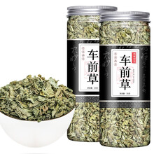 林尚品  车前草干新鲜野生晒干车前草茶排酸袋泡茶茶饮