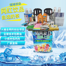 移动冷饮机冒烟饮料机网红夏季饮品果汁奶茶饮料机夜市摆地摊创业商用机器永耐力 定金