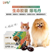 台湾虎扬Life+生命胶囊 爆毛丹甲鱼蛋猫狗术后康复孕期营养品60粒 犬猫通用20粒
