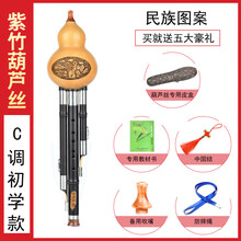 葫芦丝乐器初学者c调降b儿童小学生入门演奏成人男女自学 紫竹初学款C调(民族图案)全套