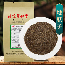 京皖 地肤子 中药饮片 按方抓药 10g