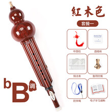XINXIANGXI 葫芦丝儿童初学者用c调/降b调小学生防摔树脂胡葫丝乐器大 仿红木降B调套餐一