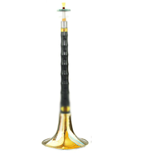 唢呐乐器全套 初学者民族入门小号喇叭锁呐哨片 118乌木D黄碗+教学1本+赠品12种