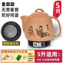中药煲全自动熬药锅砂锅煎中医壶电煮中药锅药罐煎药壶电药壶一体 5L（不粘内胆）全自动+鸣音提示