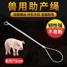耐尔尼母猪助产器绳钩钳猪用三件套兽用不锈钢助产工具兽医器具 助产绳（加粗钢丝，可调大小）
