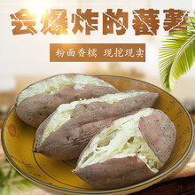 闵家山 高州爆皮王番薯2.5kg 白心红薯粉面甜板栗烤地瓜 中果 约8-15个左右 5斤装