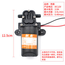 12V农用电动喷雾器水泵隔膜泵智能高压自吸泵大功率打药机配件 雨露泵(2个固定点)