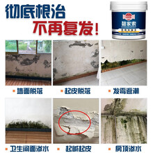 房屋内墙抗碱王墙面加固剂封闭剂起碱处理反碱克星室内返碱防发霉除碱防水涂料补墙膏白色防漏水材料 碧家索 2L送工具(粉料+乳液施工2m²)