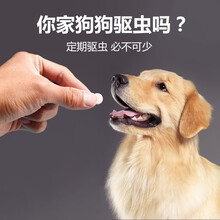 优宠乐 猫狗跳蚤药杀虫剂虱子蜱虫药狗体外驱虫药滴剂猫咪小型犬大型犬宠物通用 4支/盒 体内驱虫药一盒6颗（定期驱虫必不可少）