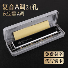 上海品牌国光口琴24孔复音C调初学者A/B/G/D/E/F高级成人专业演奏级限量版学生口吹琴套装乐器 黑色A调+教材