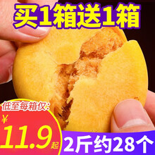 千丝肉松饼整箱早餐面包糕点心休闲零食品小吃的充饥夜宵网红美食 买肉松饼1KG送1KG（发2KG/整箱）
