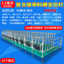 母猪定位栏热镀2.5加厚复合板限位栏5位10位猪产床保育床养殖设备中泰农牧 热镀2.5宽60带板10位