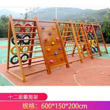 幼儿园攀爬架木质荡桥户外儿童木制感统训练组合大型滑梯钻洞玩具 十二面攀爬架