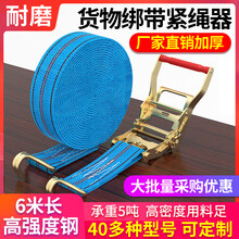 皇驰 货车紧绳器捆绑带收紧器紧固带拉紧器汽车拖车绳捆绑带 双钩高密度5.5cm宽6m长带铁架一套