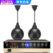 爱步者（aibuz） 吊球音响吸顶音箱悬挂式吊顶天花喇叭背景音乐吸顶壁挂喇叭套装店铺餐厅音箱 100W两分区功放+吊球音响*2送20米线 黑色吊球