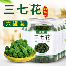 尧虎精选三七花云南文山田七花 新三七花茶 正品可配搭同仁堂枸杞泡水 四年生三七花100g【6罐装】 泡酒泡茶叶泡水