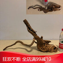 杜鹃根树根沉木水草造景鱼缸木头小型水榕免煮天然沉木细莫斯树形 E3855