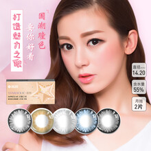 海昌星眸彩色隐形眼镜美瞳月抛2片装印象之美彩片 气质棕 225