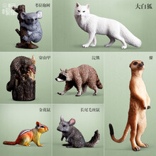 玩模乐野生动物狐狸模型塑料小浣熊松鼠老鼠仿真动物模型儿童过家家玩具 【爆款套餐】爆款打包【7只装】