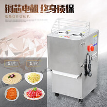 甄樽切菜机商用土豆胡萝卜切片机切丝机商用切段切条机多功能蔬菜切菜机学校饭店食堂用 切片切丝机