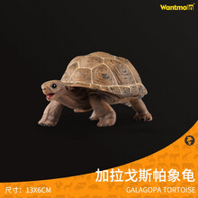 儿童玩具乌龟模型海龟陆龟海洋生物玩具 巴西龟棱皮龟甲鱼两栖动物模型 儿童认知玩具3-10岁 大加拉帕戈斯象龟