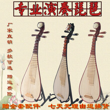 琵琶乐器初学者通用入门儿成人琵琶民族乐器椿木色木厂家直销 椿木骨花成人琵琶(配盒)