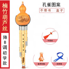 葫芦丝乐器初学者调降调儿童小学生入门演奏成人男女自学 楠竹初学款降B调(不带盒子 书)